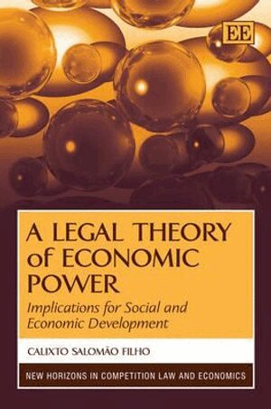 Calixto Salomão Filho - Legal Theory of Economic Power, Inbunden