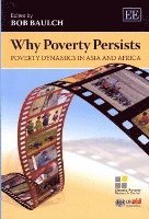 bokomslag Why Poverty Persists