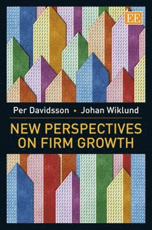bokomslag New Perspectives on Firm Growth