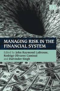 bokomslag Managing Risk in the Financial System