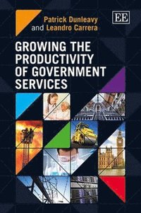 bokomslag Growing the Productivity of Government Services