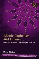 bokomslag Islamic Capitalism and Finance