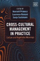 bokomslag Cross-Cultural Management in Practice