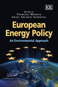 bokomslag European Energy Policy