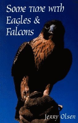 Jerry Olsen - Some Time with Eagles & Falcons, Häftad