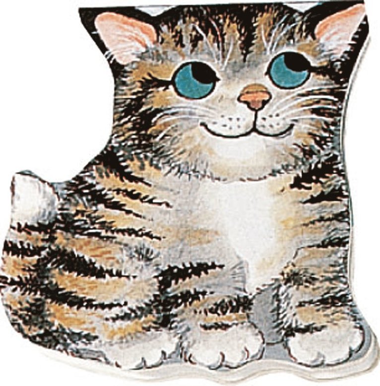 Pocket Kitten, Kartonnage