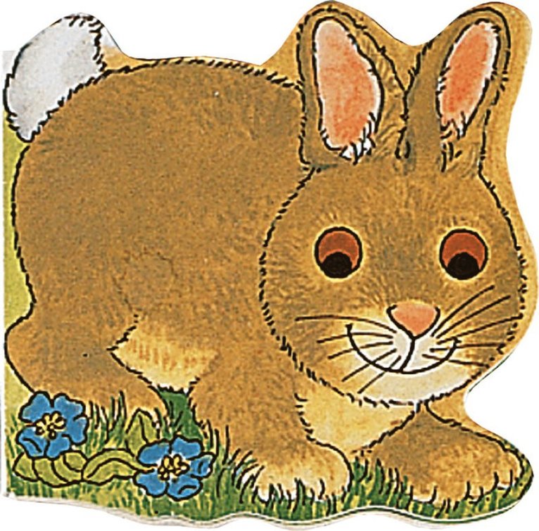 Pocket Bunny, Kartonnage