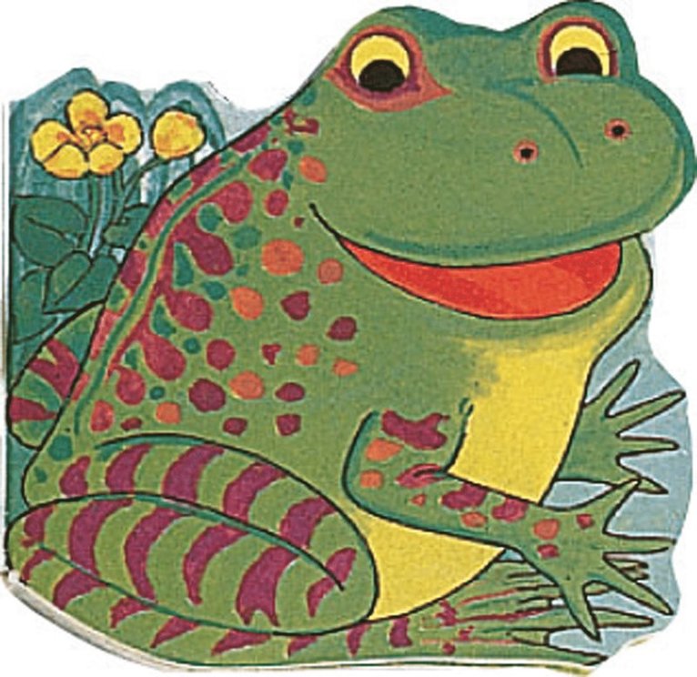 Pocket Frog, Kartonnage