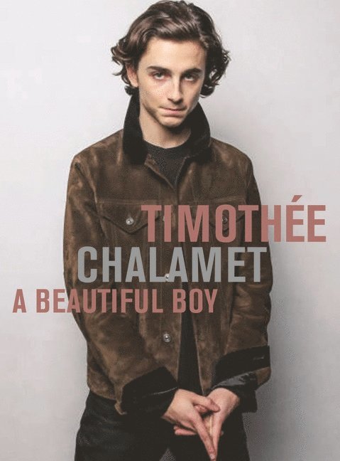 Timothee Chalamet: A Beautiful Boy 1