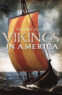 bokomslag Vikings in America