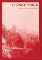 bokomslag The Cornish Mines: Volume 8