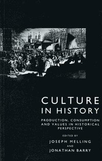 bokomslag Culture in History