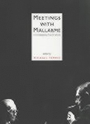 bokomslag Meetings With Mallarme