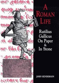 bokomslag Roman Life: Rutilius Gallicus on Paper and in Stone