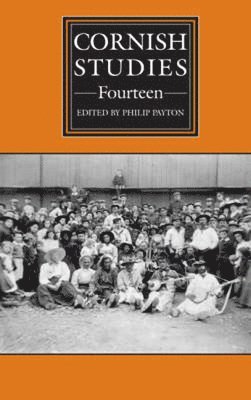 Cornish Studies Volume 14 1