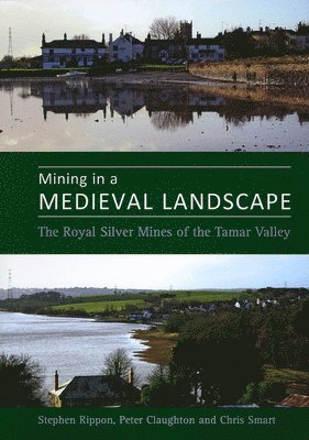 Mining in a Medieval Landscape 1
