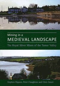 bokomslag Mining in a Medieval Landscape