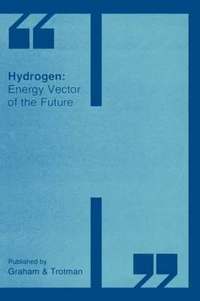 bokomslag Hydrogen: Energy Vector of the Future