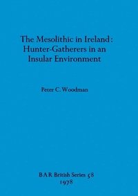 bokomslag Mesolithic in Ireland
