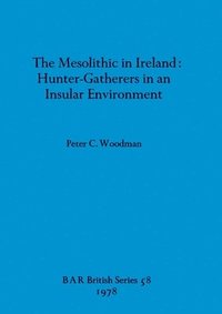 bokomslag The Mesolithic in Ireland