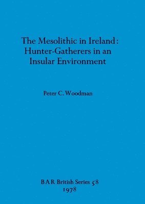 bokomslag The Mesolithic in Ireland