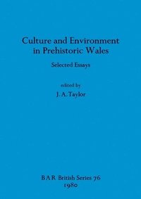 bokomslag Culture and Environment in Prehistoric Wales
