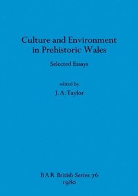 bokomslag Culture and Environment in Prehistoric Wales