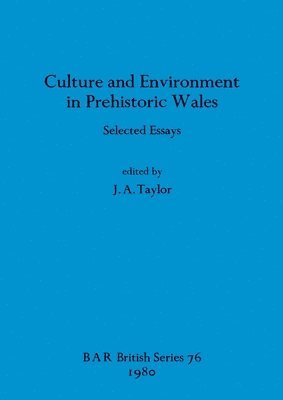 bokomslag Culture and Environment in Prehistoric Wales