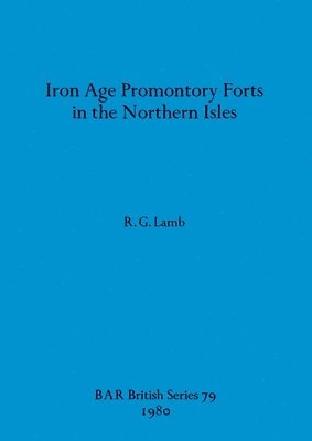 bokomslag Iron Age Promontory Forts in the Northern Isles