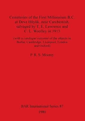 bokomslag Cemeteries of the First Millennium B.C.at Deve Huyuk