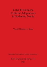 bokomslag Later Pleistocene Cultural Adaptations in Sudanese Nubia
