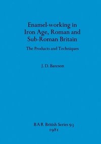 bokomslag Enamel Working in Iron Age Roman and Sub-Roman Britain