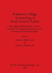 bokomslag Prehistoric Village Archaeology in South-eastern Turkey