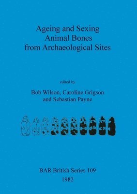 Caroline Grigson, Sebastian Payne, Bob Wilson - Ageing and Sexing Animal Bones from Archaeological Sites, Häftad