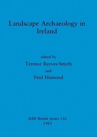 bokomslag Landscape Archaeology in Ireland