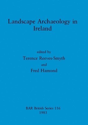 bokomslag Landscape Archaeology in Ireland