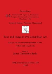 bokomslag Text and Image in Pre-Columbian Art