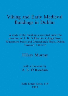bokomslag Viking and early medieval buildings in Dublin