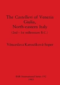 bokomslag The Castellieri of Venezia Giulia North-eastern Italy