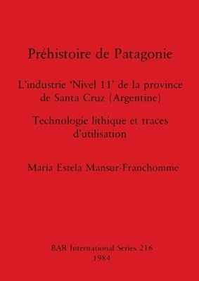 bokomslag Prehistoire de Patagonie