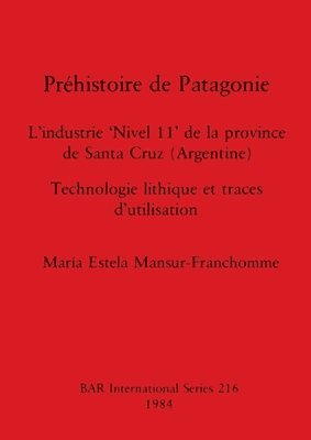bokomslag Prehistoire de Patagonie