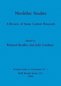 bokomslag Neolithic Studies