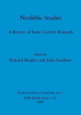 bokomslag Neolithic Studies