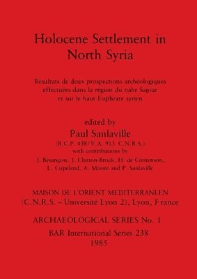 bokomslag Holocene Settlement in North Syria