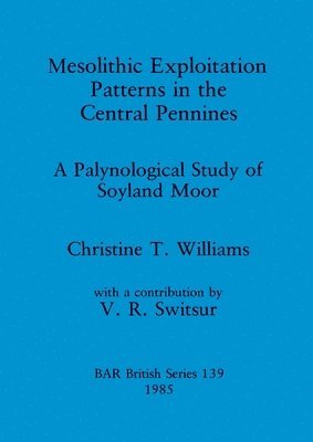 Mesolithic Exploitation Patterns in the Central Pennines
