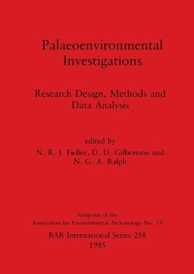 bokomslag Palaeoenvironmental Investigations