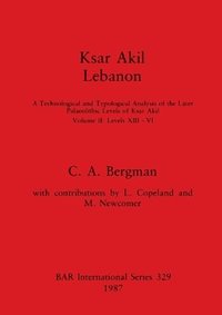 bokomslag Ksar Akil, Lebanon