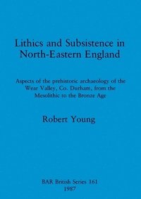 bokomslag Lithics and Subsistence in North-eastern England