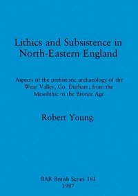 bokomslag Lithics and Subsistence in North-eastern England