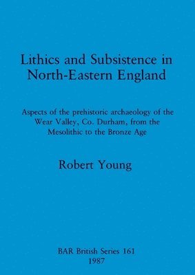 Robert Young - Lithics and Subsistence in North-eastern England, Häftad